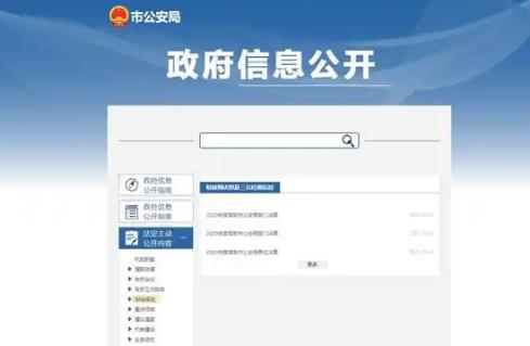政府信息公开信息处理费
