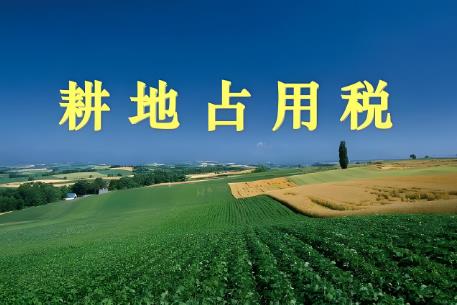 2025年耕地占用税征收标准最新政策