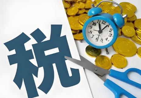 2025年山东省税收保障条例最新