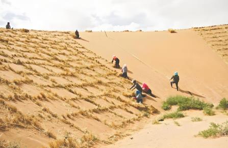 2025年武威市防沙治沙条例最新