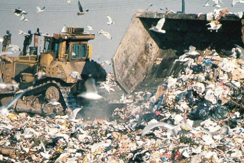 2025年云南省固体废物污染环境防治条例最新