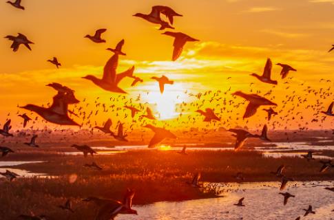 2025年云南省湿地保护条例修订