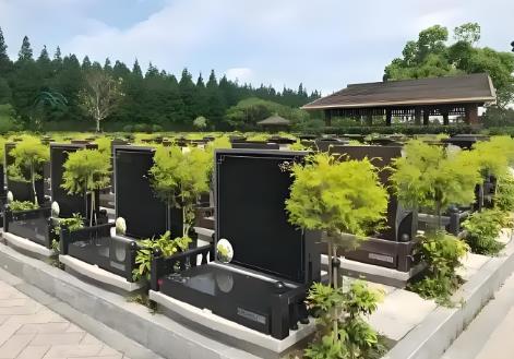 2025年重庆市殡葬管理条例最新版