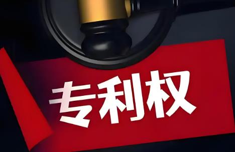 2025年规范申请专利行为的规定最新