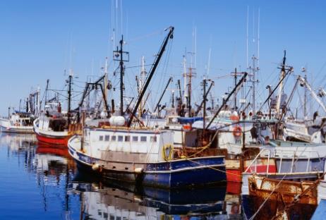 渔业船舶
