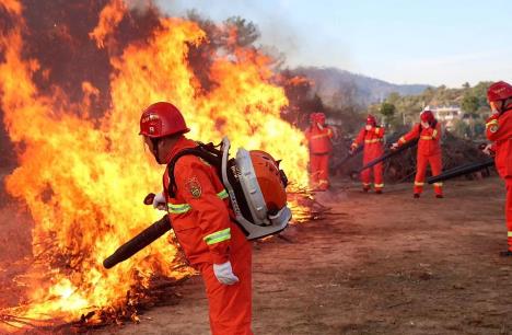 2025年宁夏回族自治区森林防火办法最新