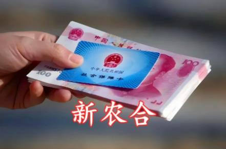 新农合2025年报销标准