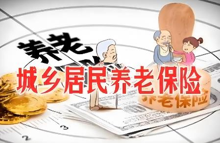 2025年城乡居民基本养老保险缴费档次标准