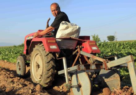 许昌市区企业国有土地收益租金征收管理办法2025最新