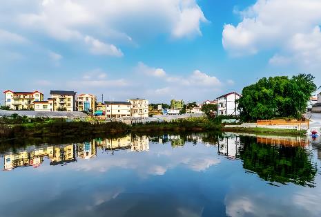 新农村建设政策最新规定2025年