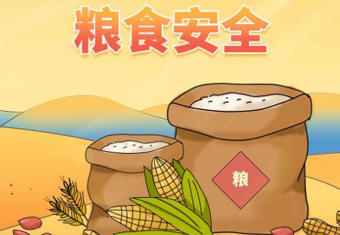 粮食安全