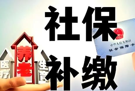 2025年事业单位社保补缴政策最新规定