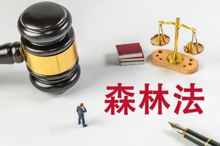 河北省森林法实施办法2025最新