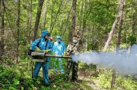 林业有害生物防治