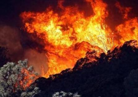 梅州市森林火源管理条例2025全文