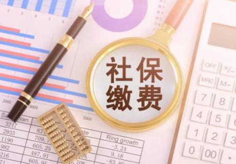 社保缴费