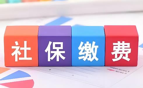 成都自由职业者社保缴费标准最新2025年