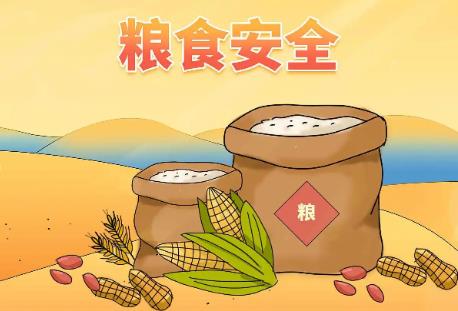 广东省粮食安全保障条例2026最新