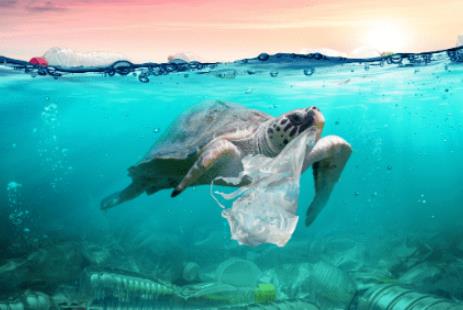 2026年中华人民共和国海洋环境保护法最新