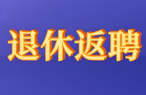 事业单位退休返聘人员薪酬待遇规定2025年