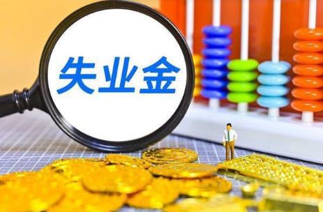 社保失业金领取条件及标准2026年最新
