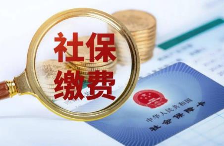 社保缴费