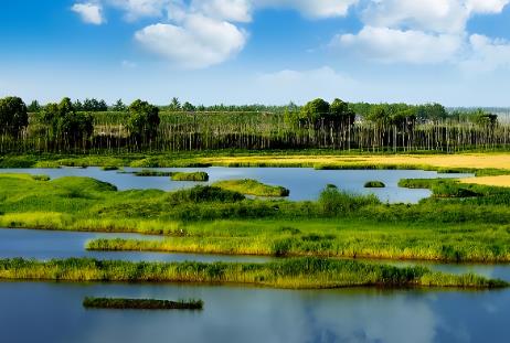 贵州省湿地保护条例2026最新