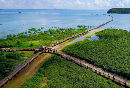 湖南省湿地保护条例