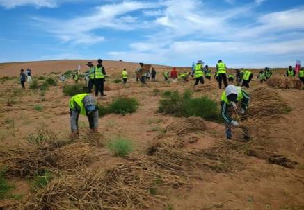 防沙治沙
