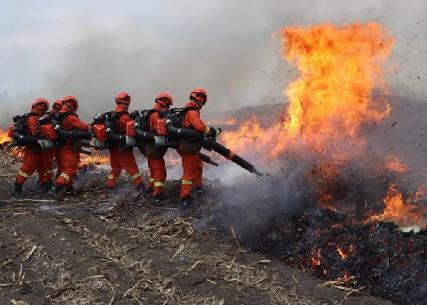 2025年森林草原防灭火条例最新