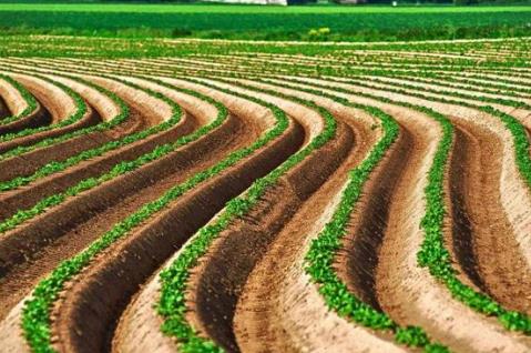 2026年最新农村土地征收赔偿标准