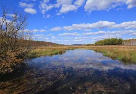 2026年浙江省湿地保护条例最新