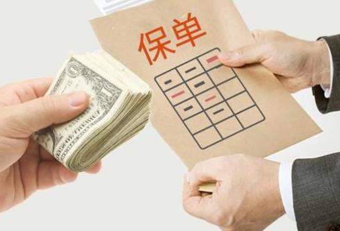 中华人民共和国保险法2026最新