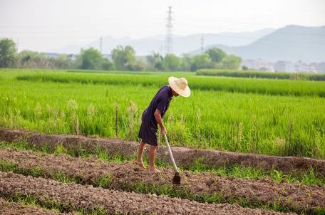 2026年失地农民养老保险补偿政策