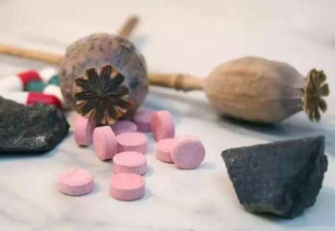 包头市禁牧休牧条例2026最新