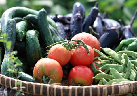 浙江省农产品质量安全规定