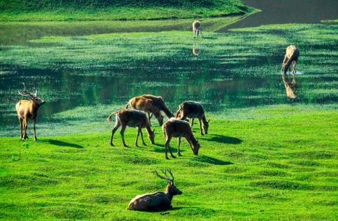 2026年中华人民共和国生态环境法典最新