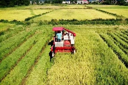 2026年滁州市高标准农田建设和保护条例最新