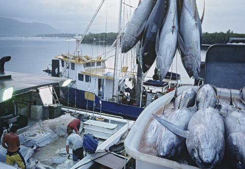 2026年中华人民共和国渔业法实施细则最新