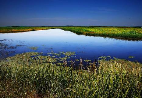 2026年中华人民共和国湿地保护法最新