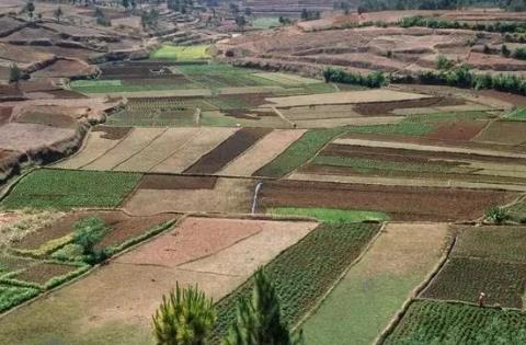 2026年宁夏回族自治区土地征收管理办法最新