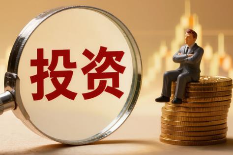 2026年山东省政府投资管理办法最新