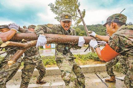 2026年云南省民兵权益保障及优待办法(试行)最新