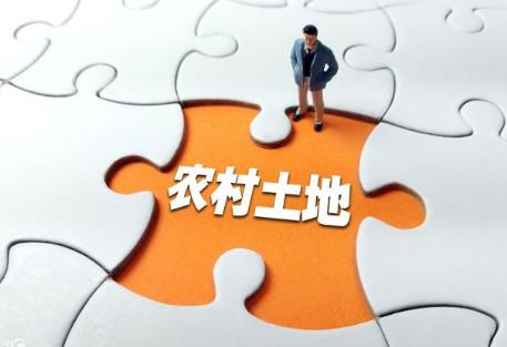 集体经济
