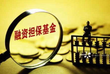 2026年山东省融资担保公司监督管理办法最新