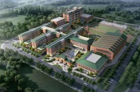 2026年四川省重点项目管理办法最新
