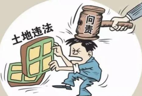 2026年关于办理非法占用耕地案件适用法律若干问题的规定最新